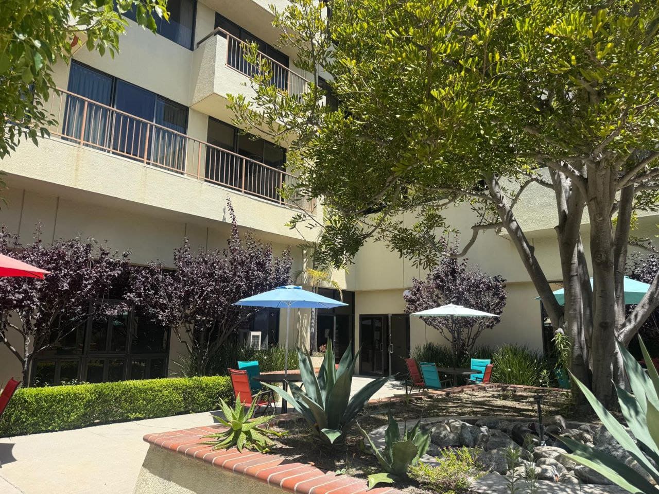 Assisted Living San Pedro